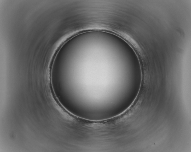 X0000111171380200907081206