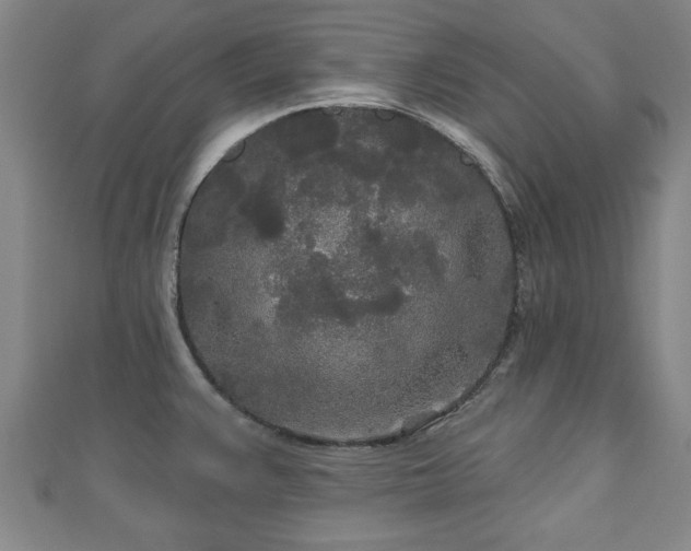 X0000111171383200907081206