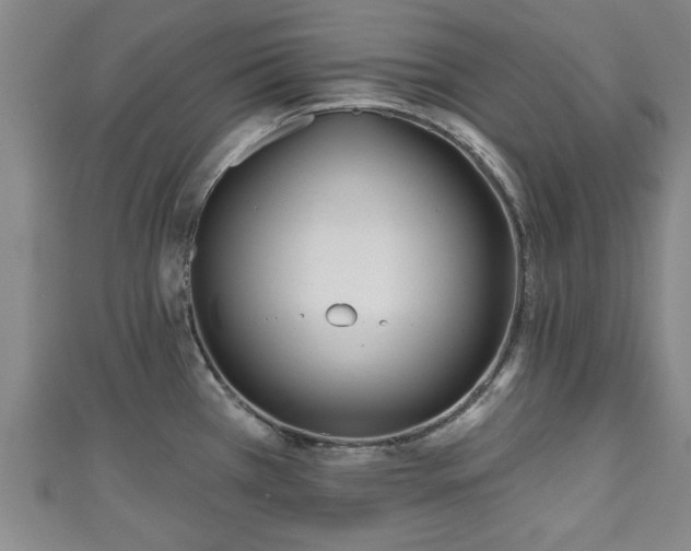 X0000111171385200907081206