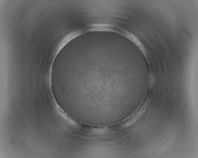 X0000111171386200907081206