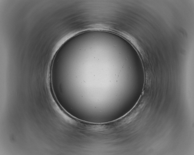 X0000111171387200907081206