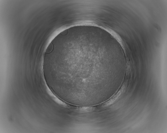 X0000111171390200907081205