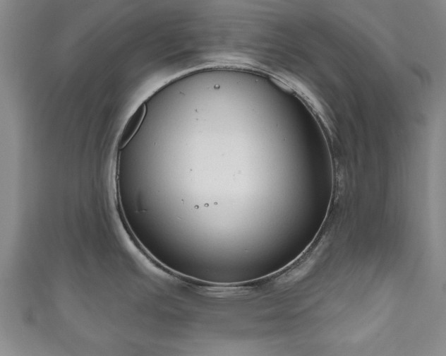 X0000111171391200907081205