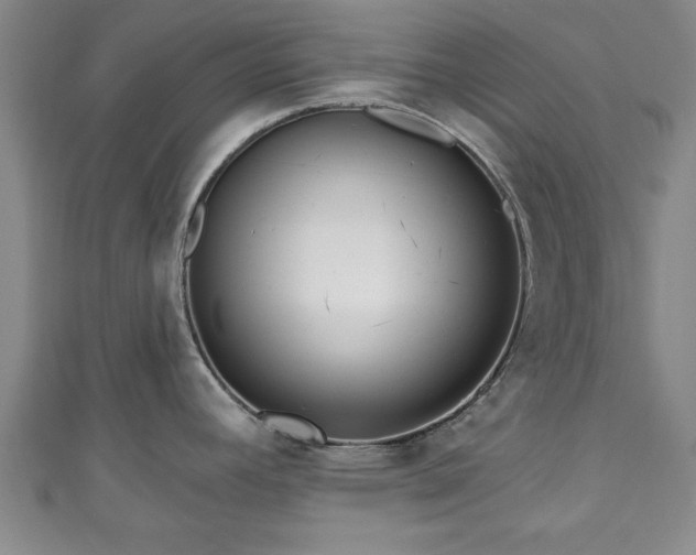 X0000111171392200907081205