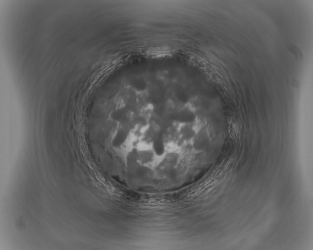 X0000111171393200907081205