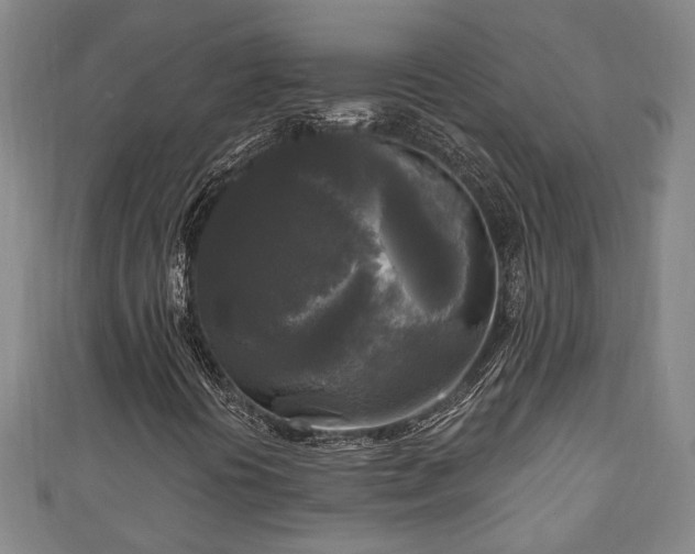 X0000111171394200907081205