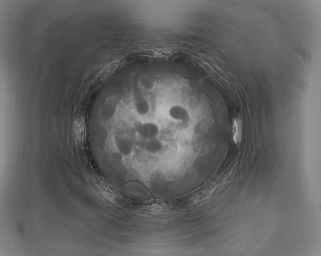 X0000111171395200907081205