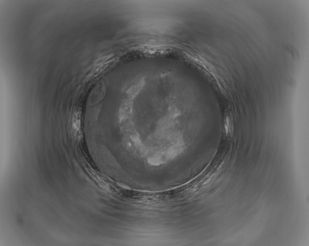 X0000111171396200907081205