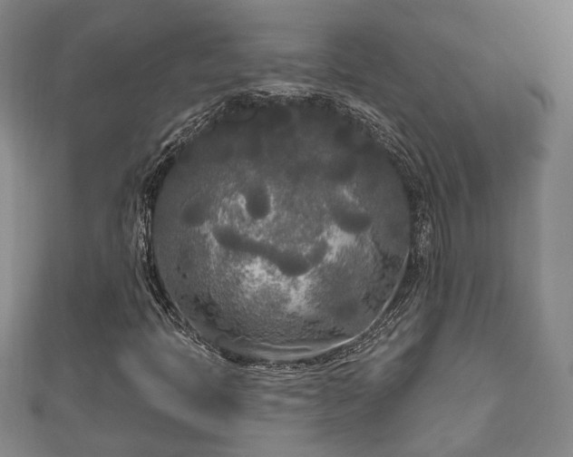 X0000111171397200907081205