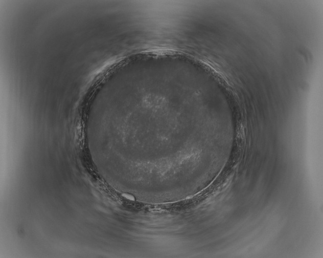 X0000111171398200907081205