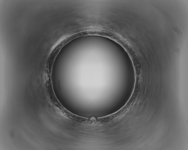 X0000111171400200907081205