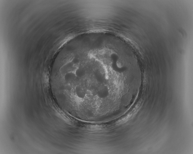 X0000111171401200907081205