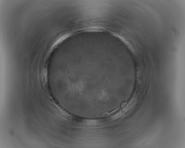 X0000111171402200907081205