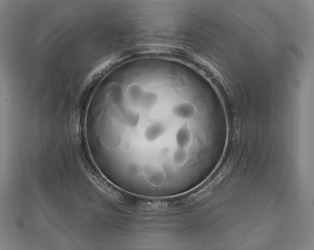 X0000111171403200907081205