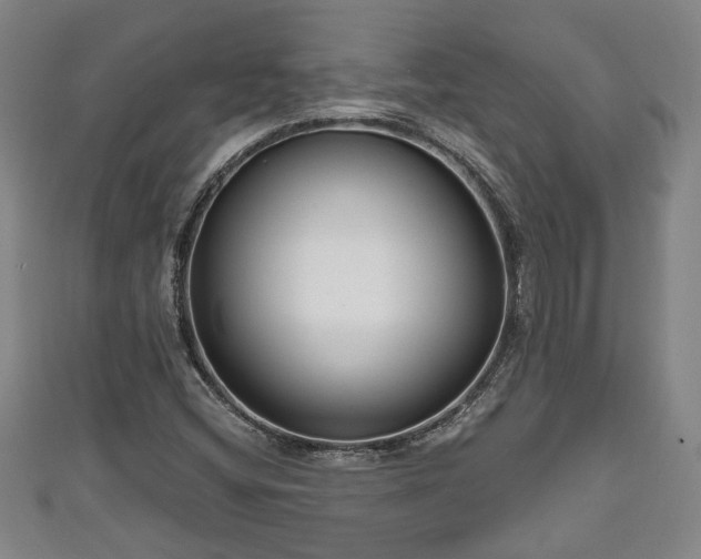 X0000111171404200907081205