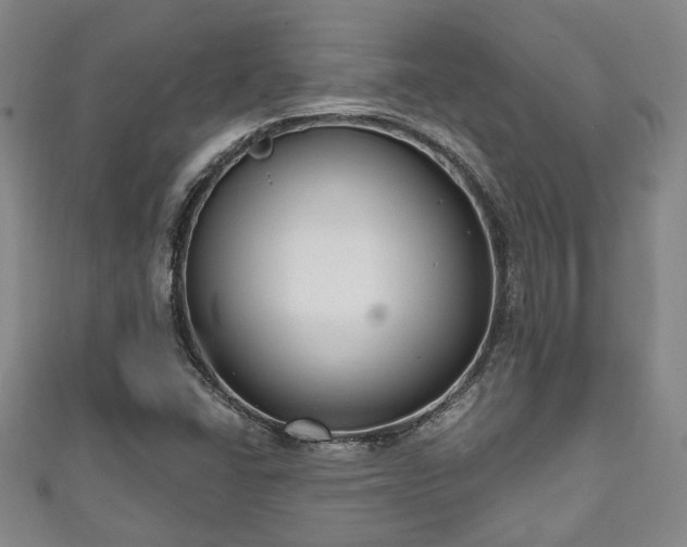 X0000111171406200907081205