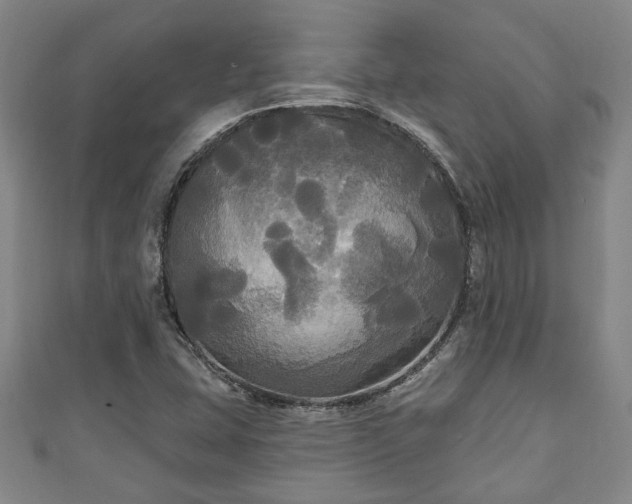 X0000111171407200907081205