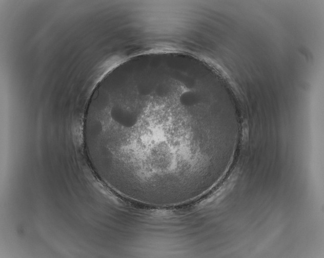 X0000111171409200907081205