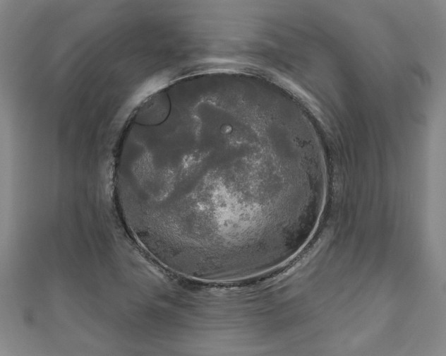 X0000111171411200907081205