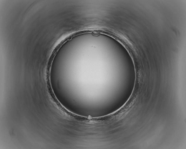 X0000111171412200907081205