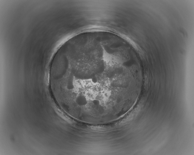 X0000111171413200907081205