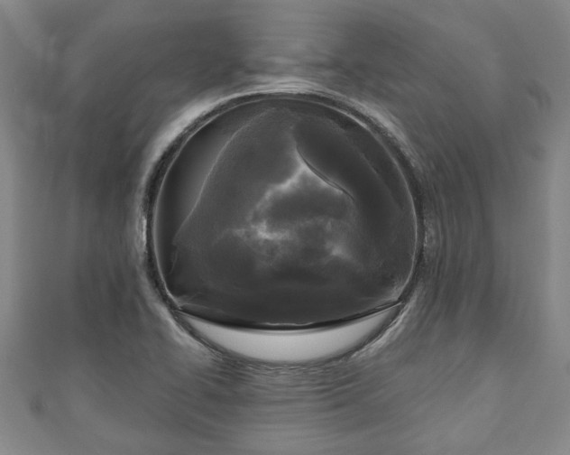 X0000111171414200907081205