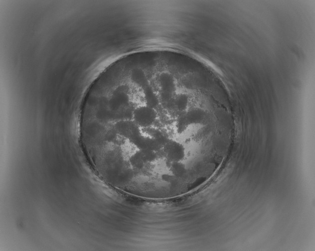 X0000111171415200907081205