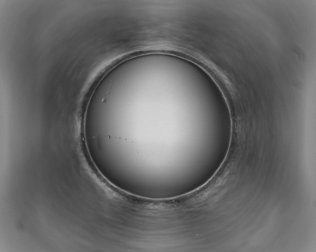 X0000111171416200907081205