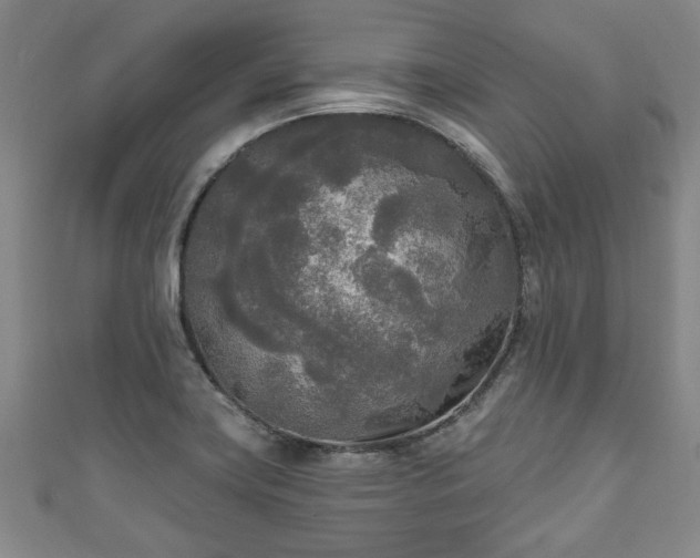 X0000111171419200907081205