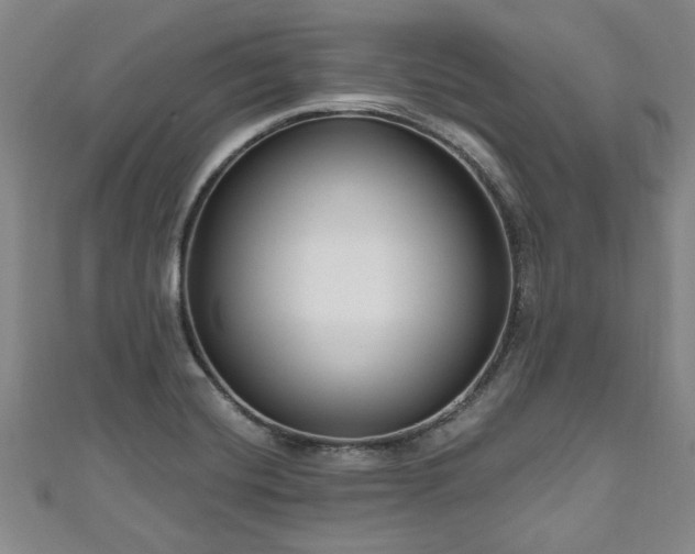 X0000111171420200907081205