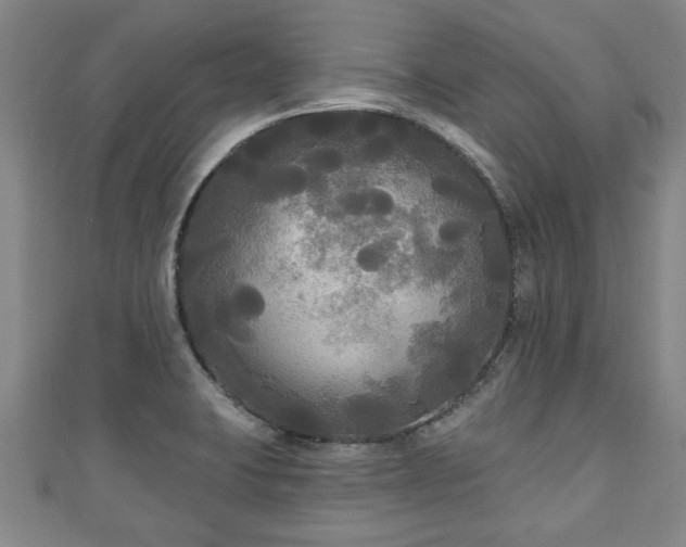 X0000111171423200907081205