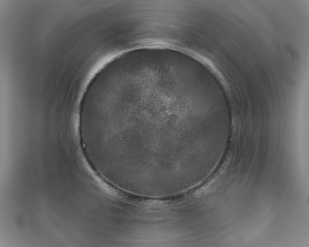 X0000111171424200907081205