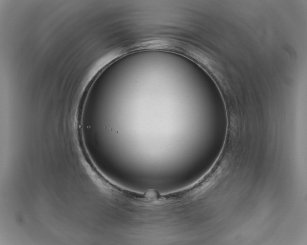 X0000111171426200907081205