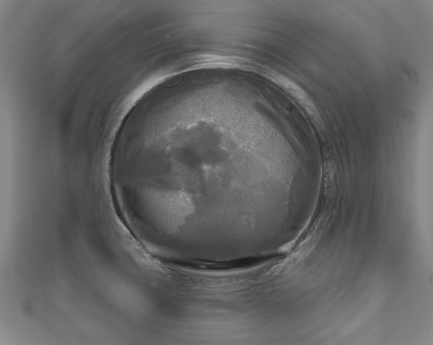 X0000111171427200907081205