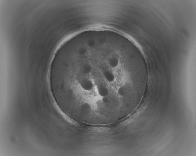 X0000111171429200907081205