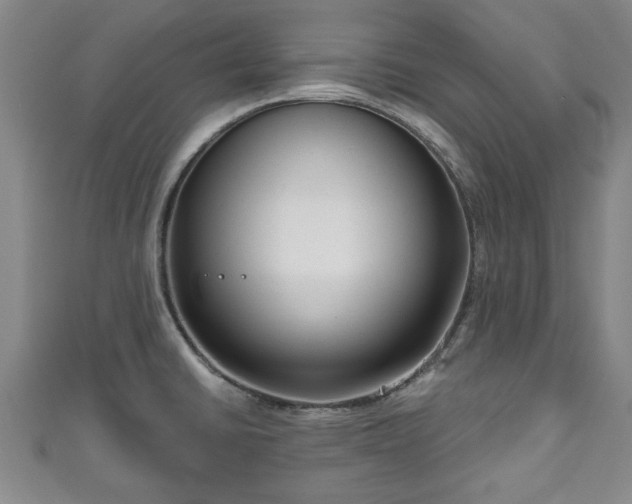 X0000111171430200907081205