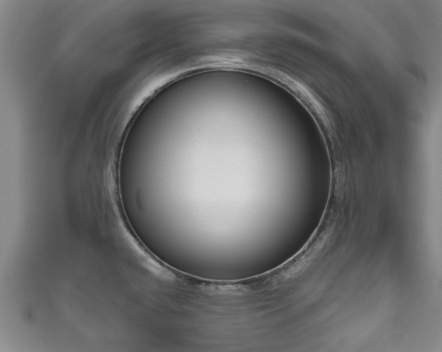 X0000111171432200907081205