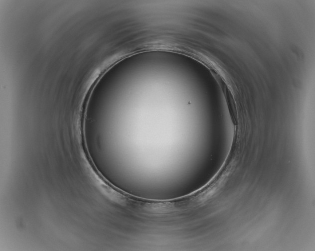 X0000111171434200907081205