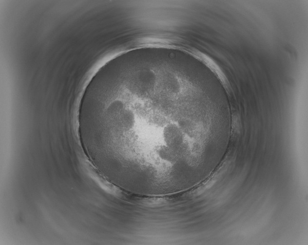 X0000111171435200907081205