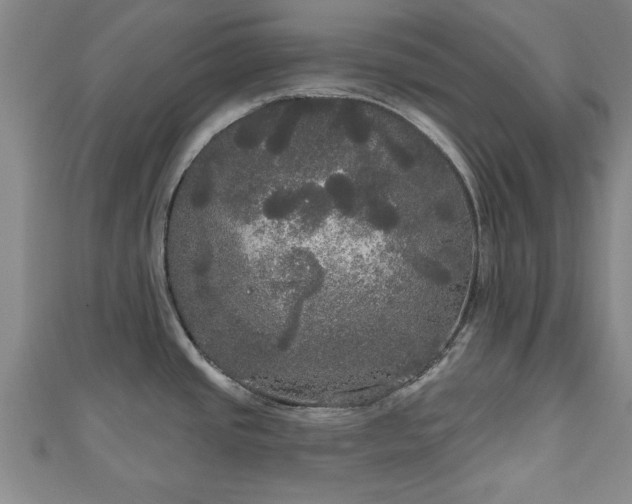 X0000111171437200907081205