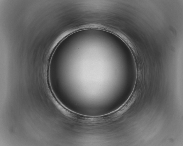 X0000111171438200907081205