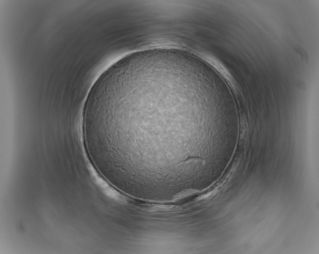 X0000111171439200907081205