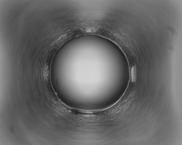 X0000111171443200907081205