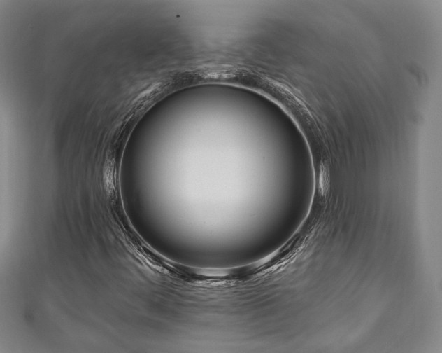 X0000111171444200907081205