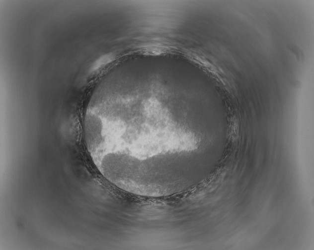 X0000111171446200907081205