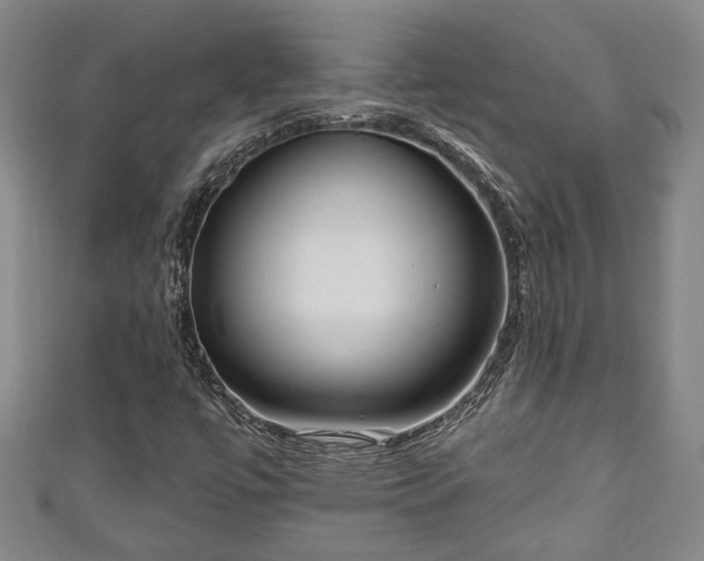 X0000111171447200907081205