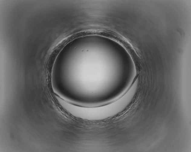 X0000111171448200907081205