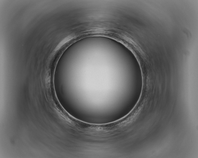 X0000111171450200907081205