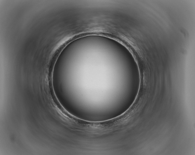 X0000111171452200907081205