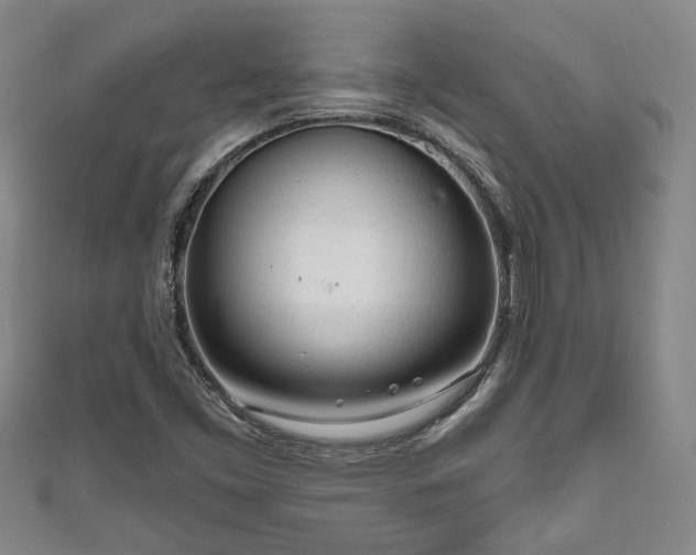 X0000111171453200907081204